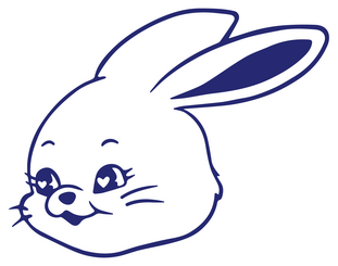 newjeans cupsleeve event